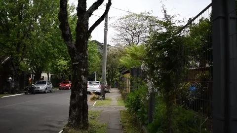 Gramado, Rio Grande do Sul - Brazil - november 21, 2024: Quiet neighborhood.. Stock Footage 313005155