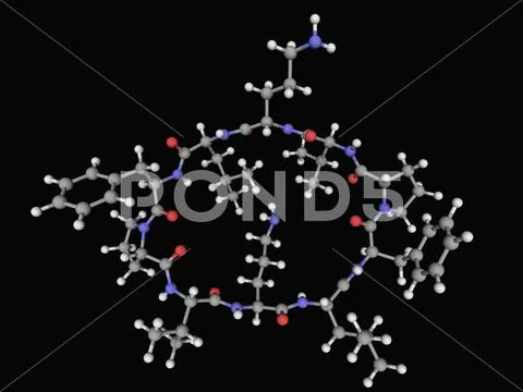 Gramicidin s drug molecule Stock Illustration