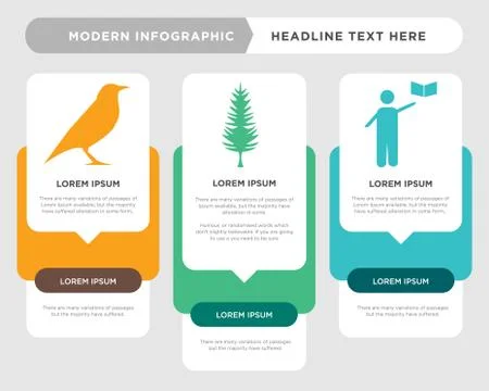 Grammar, tall pine tree, starling infographic Stock Illustration