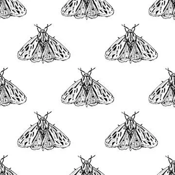Grammia arge moth. Seamless pattern. Stock Illustration