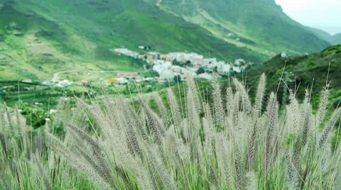 Gran Canaria - Mogan Valley 스톡 동영상 8652525