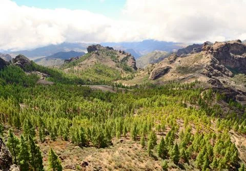 Gran Canaria mountain Stockfoto's