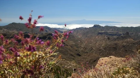 Gran Canaria Mountains Vídeo Stock 123586409