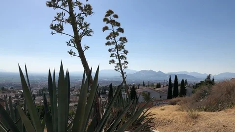Granada, albayzin Stock Footage 124159417