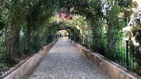 Granada, Generalife gardern Stock Footage 124159704