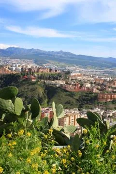 Granada rooftops Stock Photos