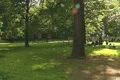Granary Burying Ground Footage