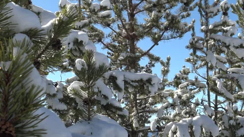 Granby Ranch, Colorado Stock Footage 240740680