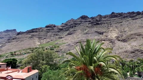 GranCanaria Droning Video stock 247316487
