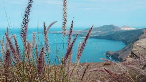 Grancanaria1 Stock Footage 306794800