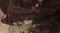 Grand Canyon Aerial Shot of Navajo Nation 4k or 4k+ Resolution