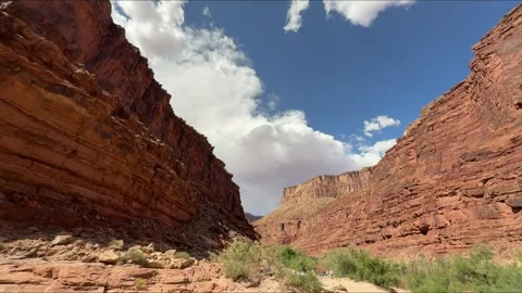 Grand Canyon camp setup timelapse Stock Footage 310922012