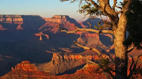 Grand Canyon Vidéo 313978139
