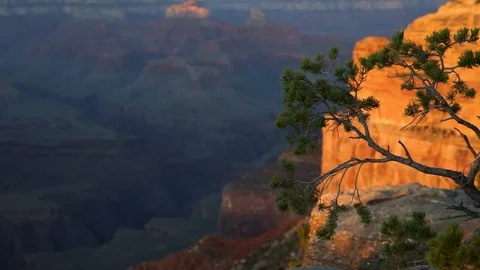 Grand Canyon Medium Shot Video stock 124019842