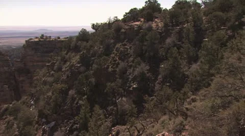 Grand Canyon Mountain side Video stock 18990860