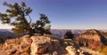Grand Canyon North Rim 03 Cape Royal 4k or 4k+ Resolution