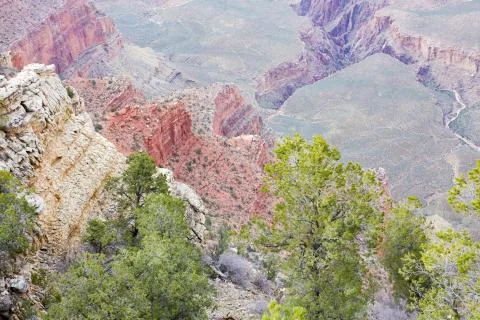 Grand Canyon Stock Photos