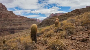 Grand Canyon Time lapse Stock Footage 86147157