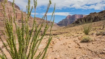 Grand Canyon Time lapse Stock Footage 86147212