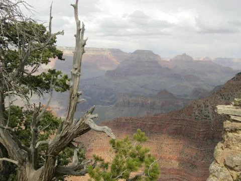 Grand Canyon View Stock Photos