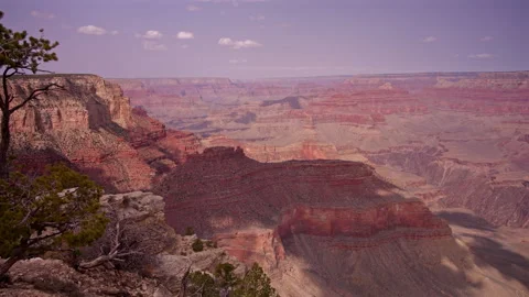 Grand Canyon View with Pine Trees and Cliffs Stock Footage 313531888