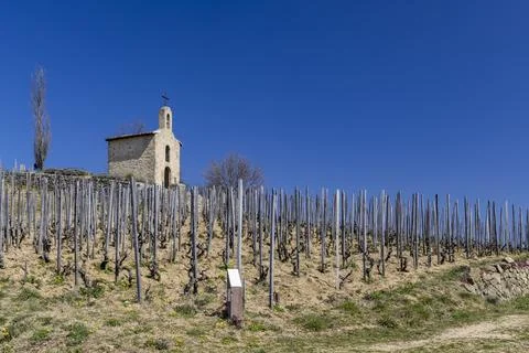 Grand cru vineyard and Chapel of Saint Christopher, Tain l'Hermitage, Rhone.. Stock Photos