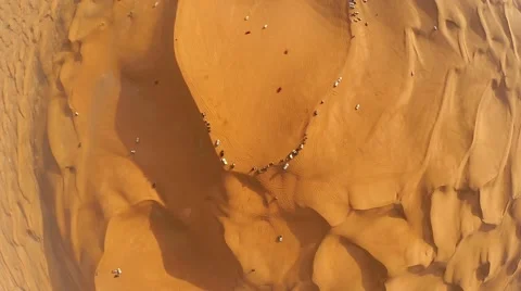 Grand Dune Stock Footage 48029529