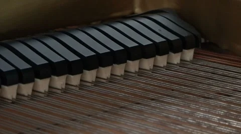 Grand Piano 02 strings 스톡 동영상 7974967