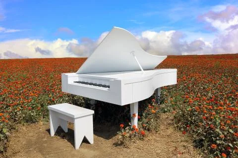Grand piano in a flower field Stock Photos