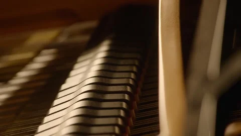 Grand Piano Hammers Hitting Strings (2) Video stock 342485545