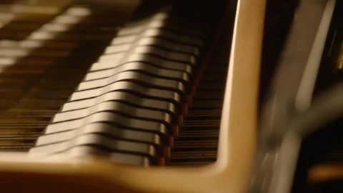 Grand Piano Hammers Hitting Strings Video stock 342485546