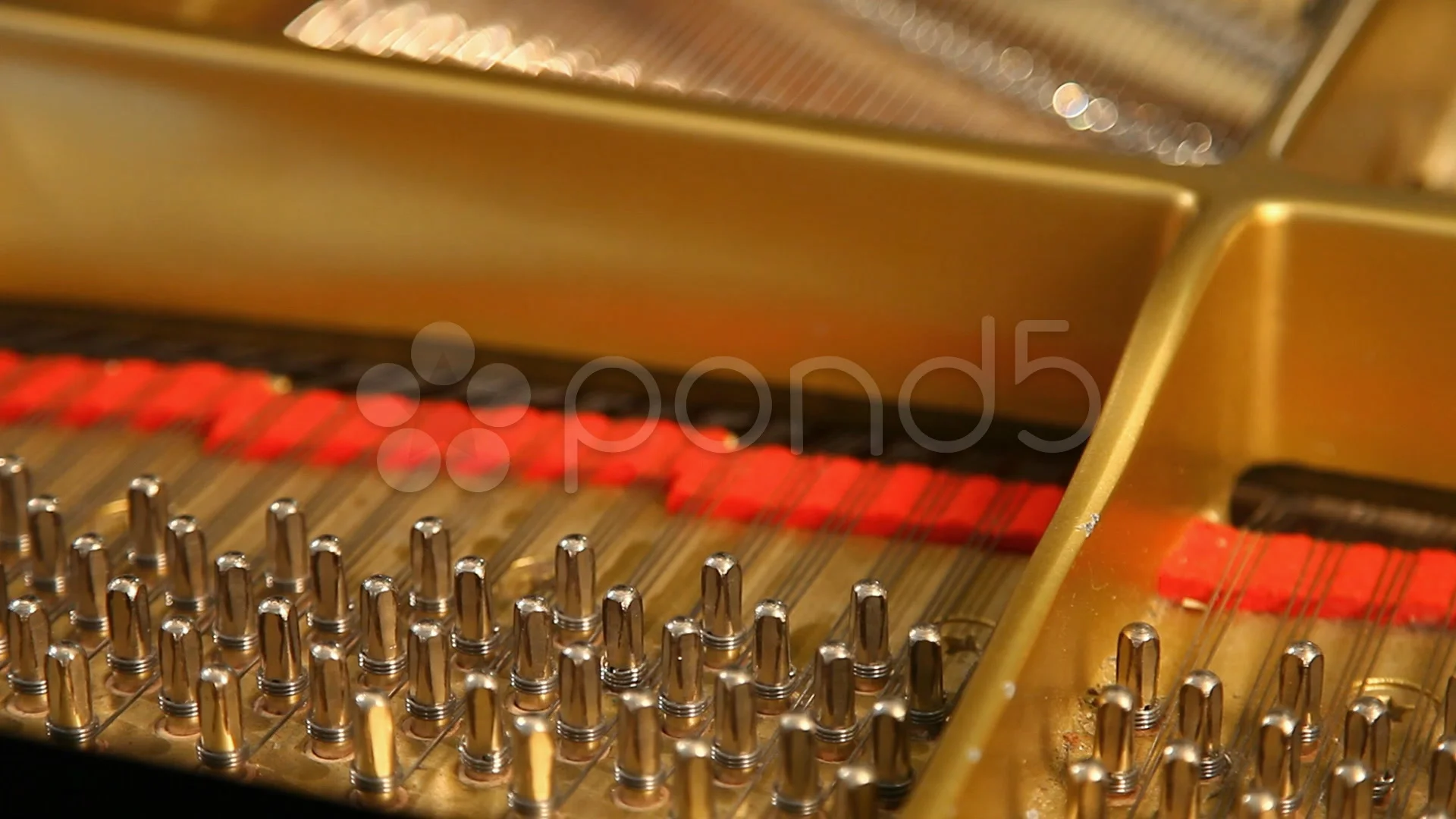 String Splicing - The Gilded Piano