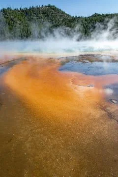 Grand Prismatic Spring Stock Photos