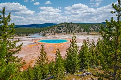 Grand Prismatic Spring Stock Photos