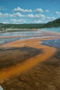 Grand Prismatic Spring Stock Photos