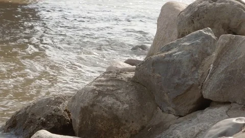 Grand River Shoreline Stock Footage 85367485