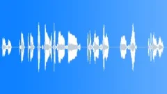 Grand SlamSound Effect