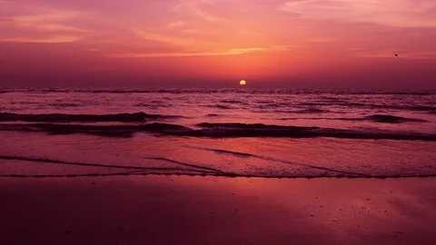 Grand sunset in beach side Stock Footage 99918491