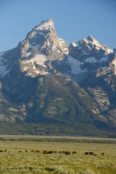 Grand teton Stock Photos