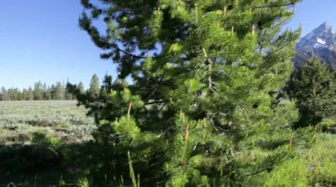 Grand Tetons 1-BigWeb 스톡 동영상 853699