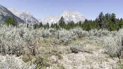 The Grand Tetons 2 Stock Footage 159925373