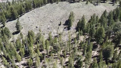 The Grand Tetons Stock Footage 170521025