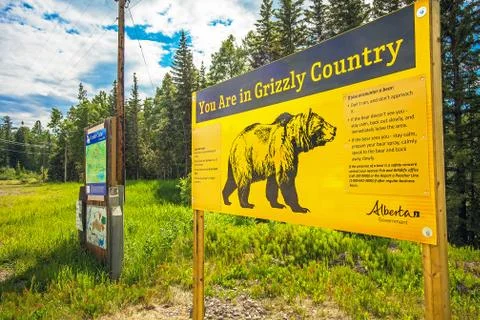 Grande Cache Alberta Canada warning of Grizzlybaer in Stock Photos