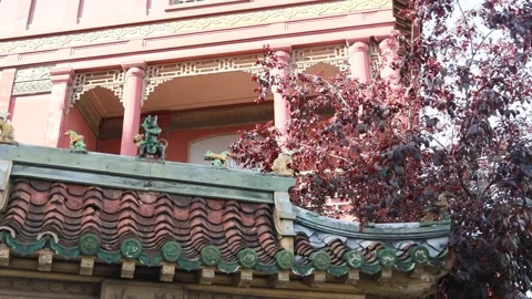 Grande Pagode , asian museum in Paris Stock Footage 205822053