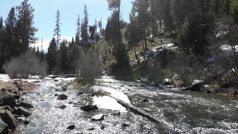 Grande Ronde River flowing through Umatilla National Forest in eastern Oregon Stock Footage 127325976