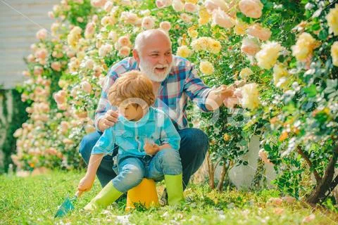 Grandfather and grandson. Old and Young. Concept of a retirement age. Cute Stock Photos