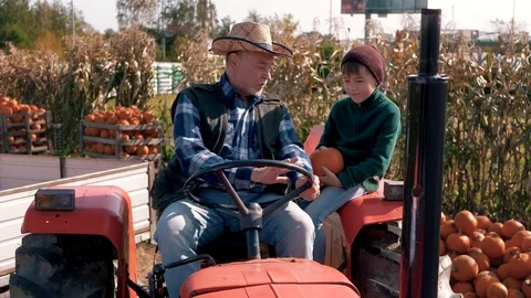 Grandfather explaining to boy how to drive a tractor Video stock 80868436