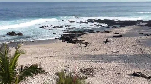 Grandfond Stock Footage 315666574