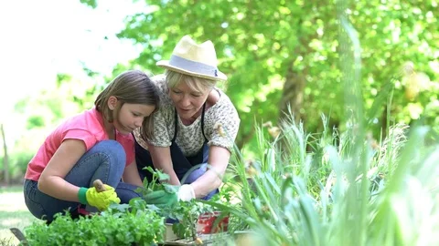 Grandmother and granddaughter gardening together Stock Footage