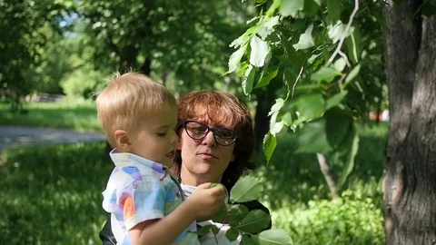 The grandmother of the child is resting, playing in the Park. The outdoors Stock Footage